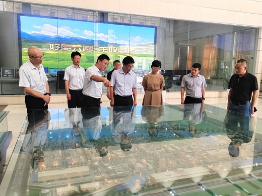 桐城市尋求與六國化工開展產業(yè)合作