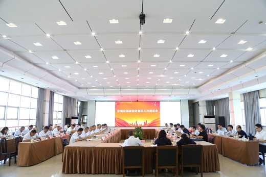 市領(lǐng)導(dǎo)調(diào)研銅化集團工作座談會召開